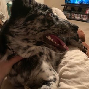 Meet your Posher, Kacie